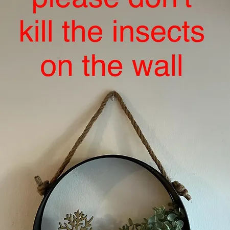 Makenzie 2 First Line Vandrarhem Larnaca