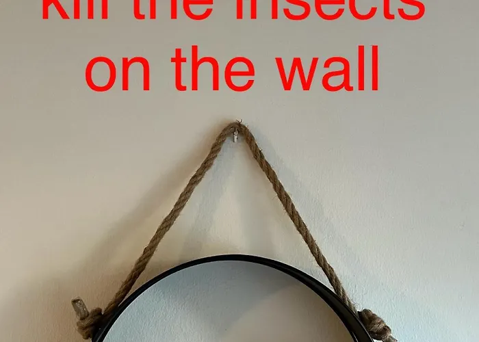 Makenzie 2 First Line אכסניה לרנקה